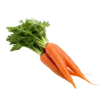 carrot