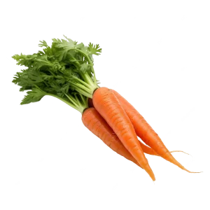 carrot