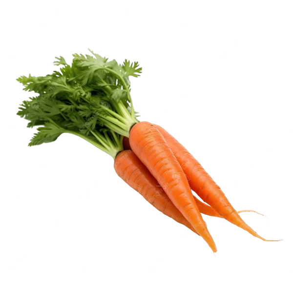 carrot