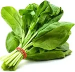 spinach
